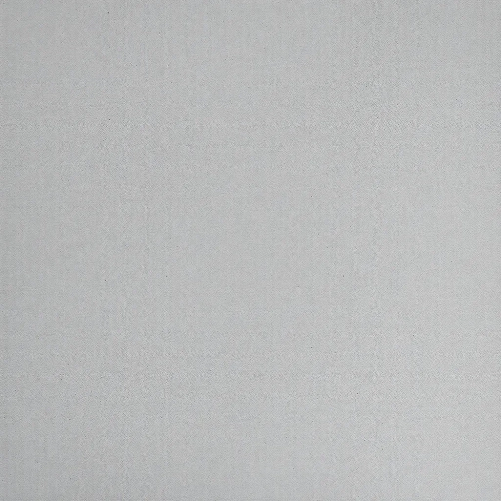 Strop RECTOR cena za m2